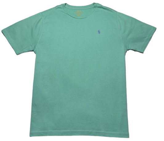 Polo by Ralph Lauren Plain Round Neck Short Sleeve T Shirt PALE GREEN BLUE PONY Age 18/20